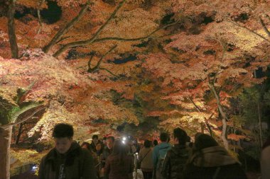 Eikando Temple gece Kyoto ana kapı 