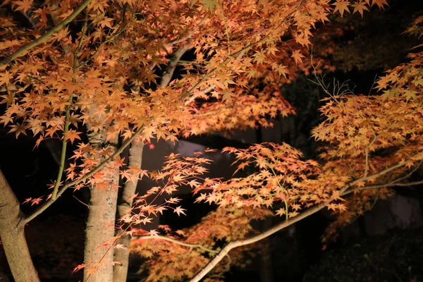 夜の永観寺去りぬドアでアットホーム — ストック写真