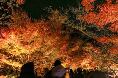 Loaction gece Eikando Tapınağı gont kapıda 