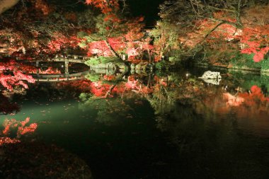 Mükemmel görünüm, sonbahar renk, Eikando Zenrinji