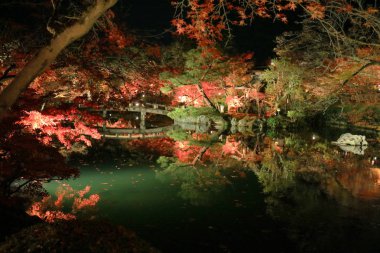 Mükemmel görünüm, sonbahar renk, Eikando Zenrinji