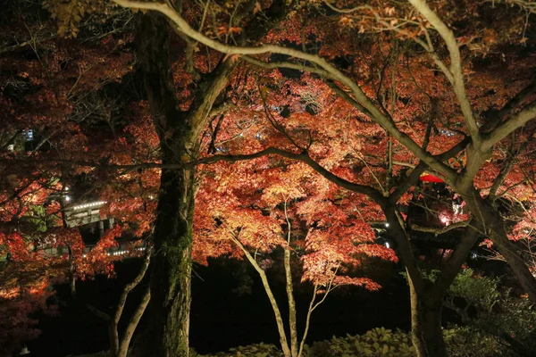 Fall season The Eikando temple at night — Stock Photo, Image