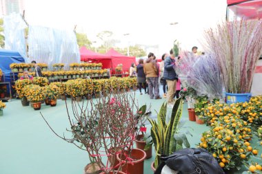  TKO 'da Lunar yeni yıl Fuarı