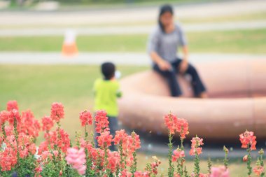 bir kişi bir bahçe çiçek yatak gezi
