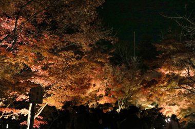 Loaction gece Eikando Tapınağı gont kapıda 