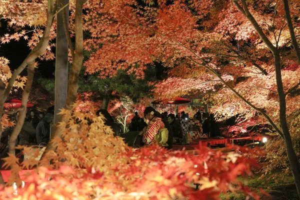 永観寺泊京都の庭園 — ストック写真