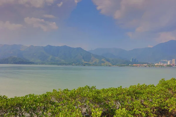 Plover koyu Country Park 