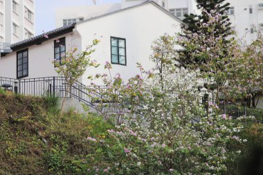 Histroic mimari bir tuğla Yapim yapısı itibariyle hk