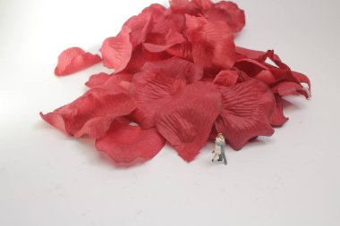 mini çift birbirlerine yaprakları üzerinde kucaklayan.