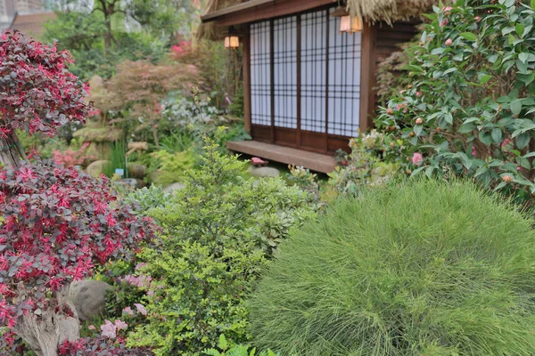 Una terraza moderna y jardín con estilo zen — Foto de Stock