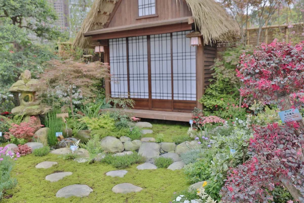 En modern terrass och trädgård med zen-stil — Stockfoto