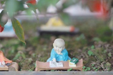 yeşil yeşillik beyaz izole bonsai ayarlama