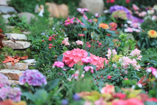 Um pequeno jardim no show de flores hk 2018 — Fotografia de Stock