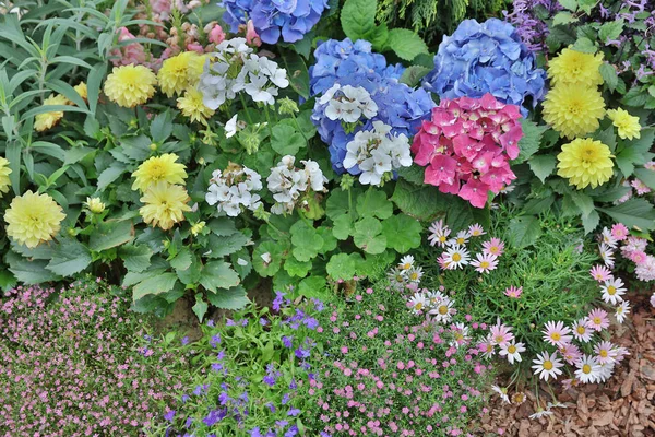Kvetoucí záhony v parku flower show — Stock fotografie