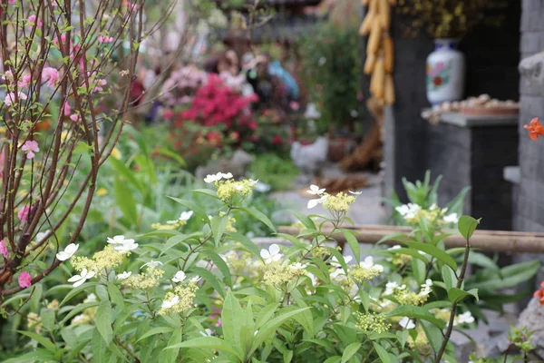Класичний стиль китайського саду на квітковому шоу — стокове фото