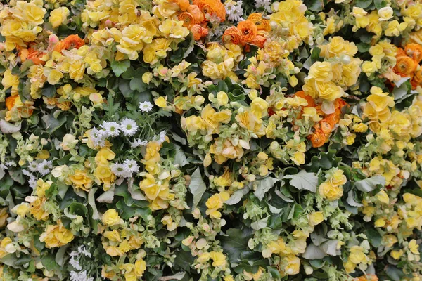 Os canteiros de flores em formal de jardim — Fotografia de Stock