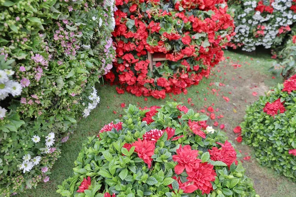 Die Blumenbeete im formalen Garten — Stockfoto