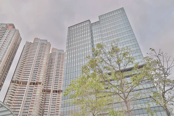 Árbol con edificio de oficinas moderno y reflejo del cielo azul — Foto de Stock