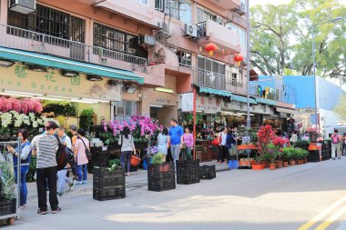 Kowloon, mong kok Hk çiçek pazarı 