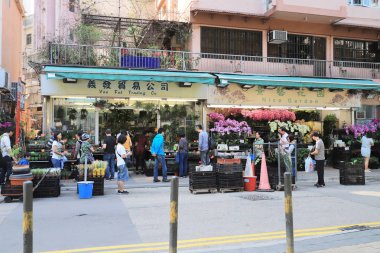 Kowloon, mong kok Hk çiçek pazarı 