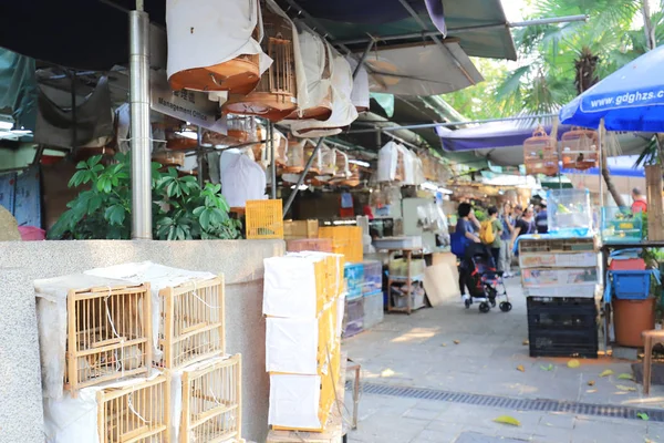 Mercado al aire libre de tienda de aves en Yuen Po st — Foto de Stock