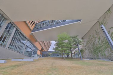 Chu Hai College Yüksek öğrenim