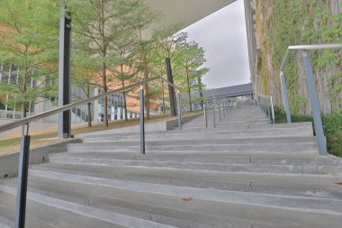 Chu Hai College Yüksek öğrenim