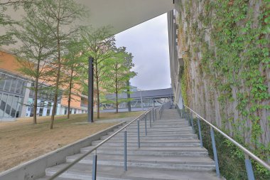 Chu Hai College Yüksek öğrenim