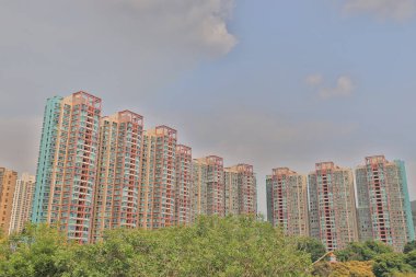 Hong Kong konut konutu Siu Hong