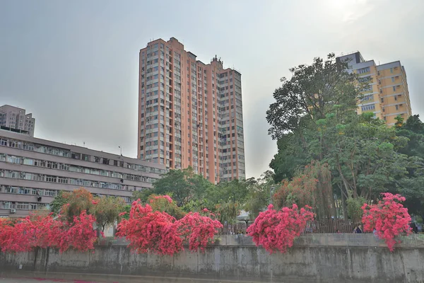 Un río Shan Pui Yuen Long en Hong Kong — Foto de Stock