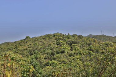  Efendim Cecils arabayla, Tai Tam hong kong 