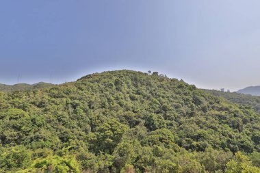  Efendim Cecils arabayla, Tai Tam hong kong 