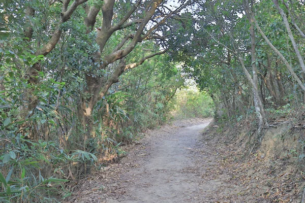 Sir Cecils jazdy, Tai Tam hong kong — Zdjęcie stockowe