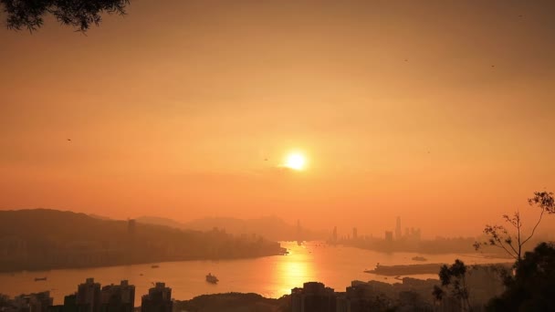 Weergave Van Hong Kong Victoria Harbor — Stok video