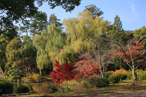 Garten von daikaku-ji, Kyoto — Stockfoto