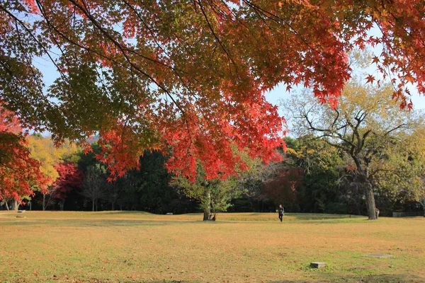 京都大覚寺庭園 — ストック写真