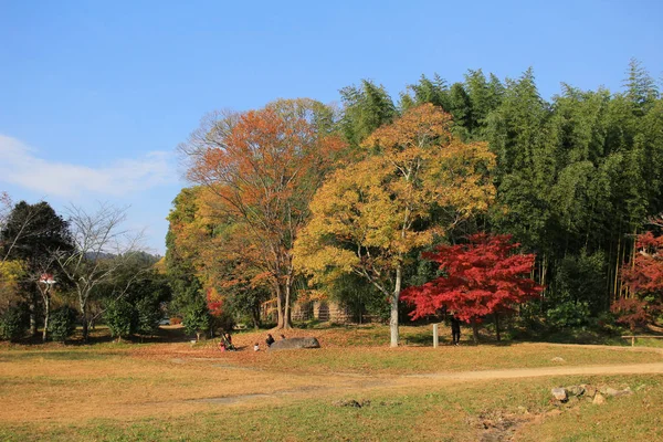 Jardín de Daikaku-ji, kyoto — Foto de Stock