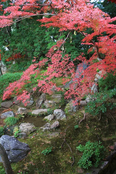 Tuin van Daigaku-ji, kyoto — Stockfoto