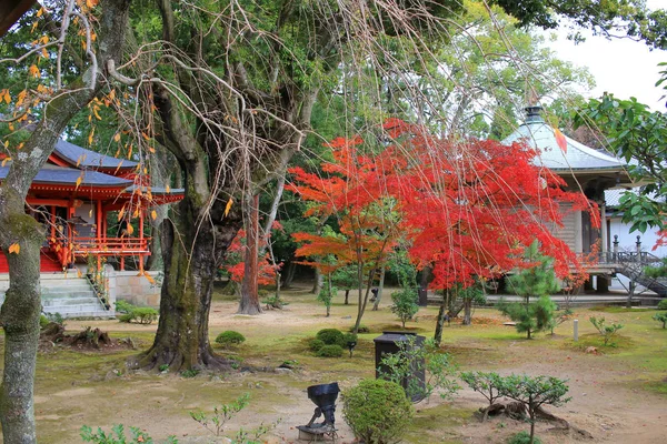 Giardino di Daikaku-ji, kyoto — Foto Stock