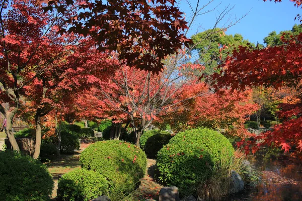 Giardino di Tempio di kyoto To-ji — Foto Stock