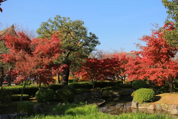 Garten des Kyoto to-ji Tempels — Stockfoto