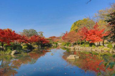 bir kyoto Bahçe için-ji Tapınağı