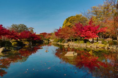 bir kyoto Bahçe için-ji Tapınağı