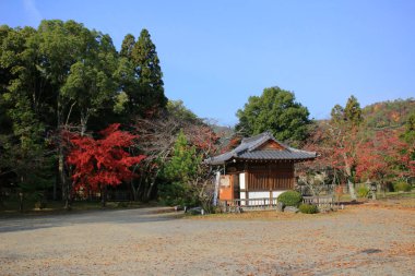 Daikaku-ji, kyoto Japonya sonbahar sezon