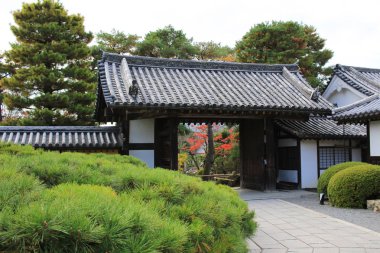 Daikaku-ji, kyoto Japonya sonbahar sezon