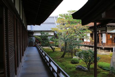 Daikaku-ji, kyoto Japonya sonbahar sezon
