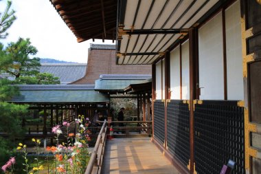 Daikaku-ji, kyoto Japonya sonbahar sezon