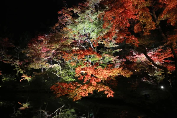 高台寺夜の秋のシーズン — ストック写真