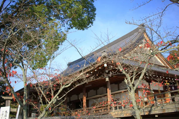 Daikaku Japonia Kioto Jesieni — Zdjęcie stockowe