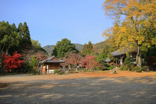 京都秋のシーズン大覚寺 — ストック写真